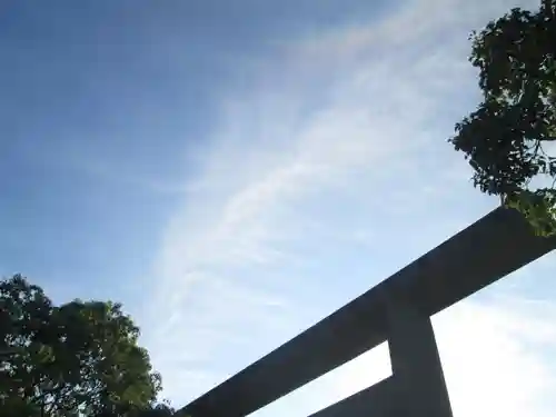 屋久島大社の自然