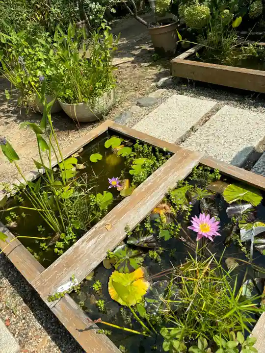 おふさ観音(観音寺)(奈良県)