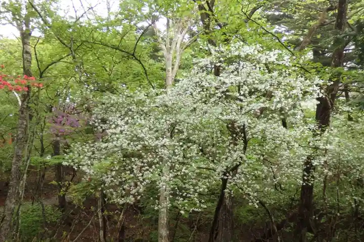 深山巴の宿の自然