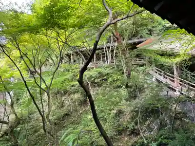 禅林寺(永観堂)(京都府)