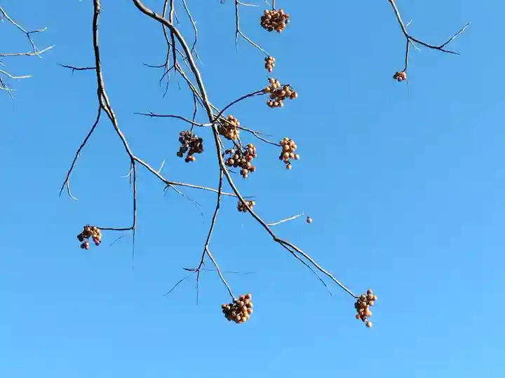 萬福寺(神奈川県)