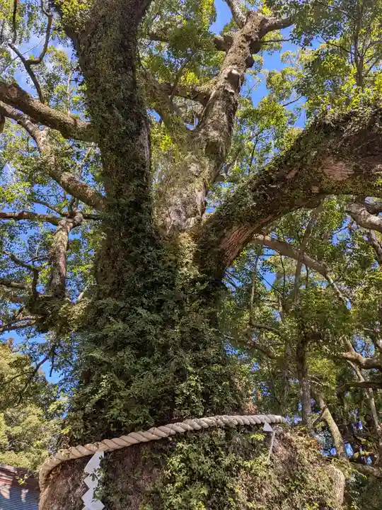 熊野那智大社(和歌山県)