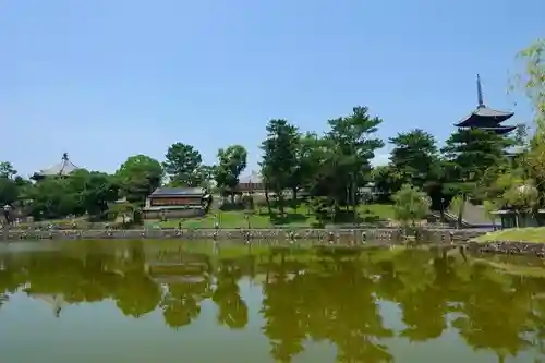 興福寺の庭園