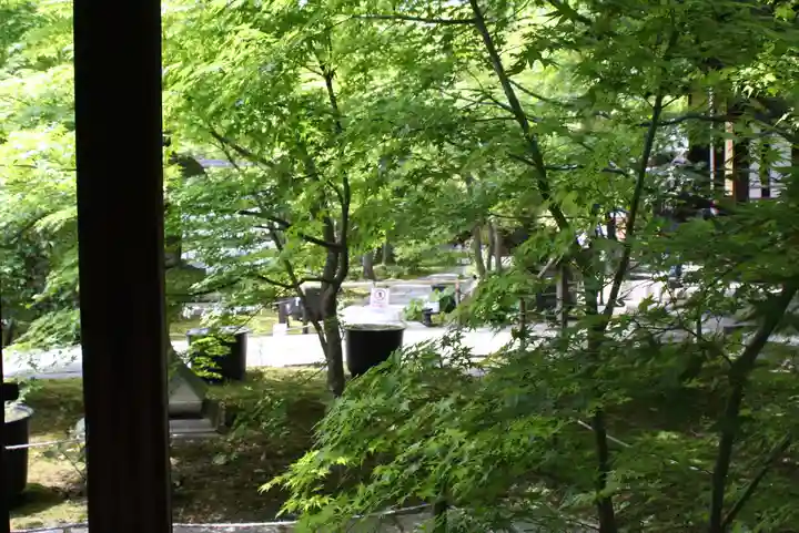 勝林寺(京都府)
