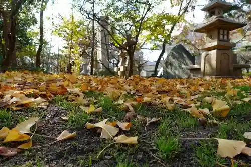 道明寺天満宮の自然
