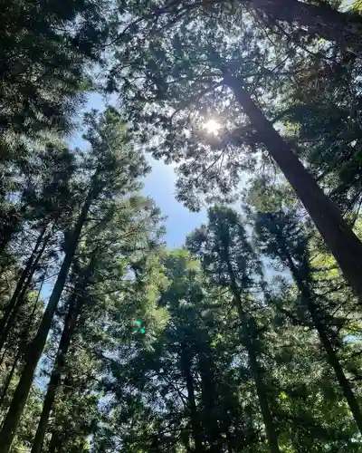 富士山東口本宮 冨士浅間神社の自然