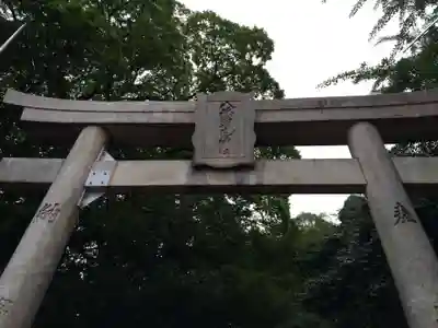八幡朝見神社(大分県)