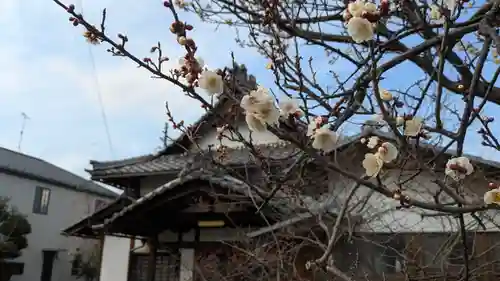 遍照寺(滋賀県)