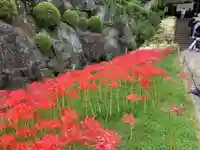 横浜 西方寺の庭園