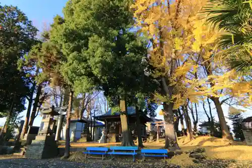 熊野福藏神社の景色