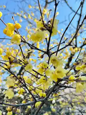 大蓮寺(京都府)