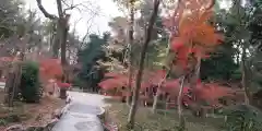 賀茂御祖神社（下鴨神社）(京都府)