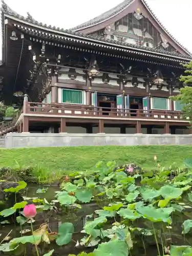  智積院の本殿・本堂