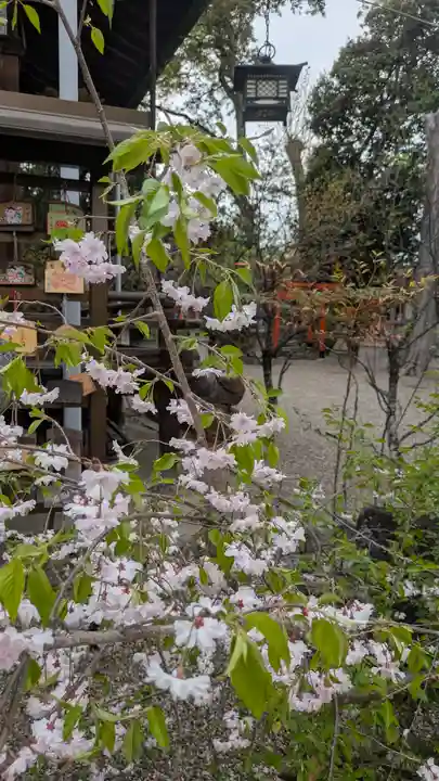 郡山八幡神社(奈良県)