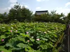 天龍寺(京都府)