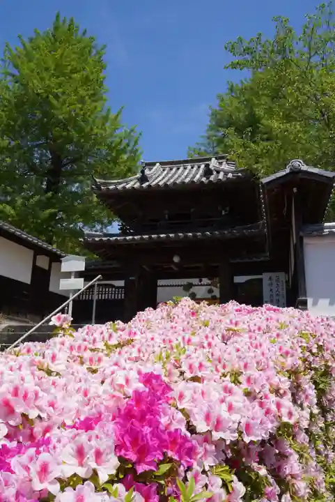 宝厳寺(愛媛県)
