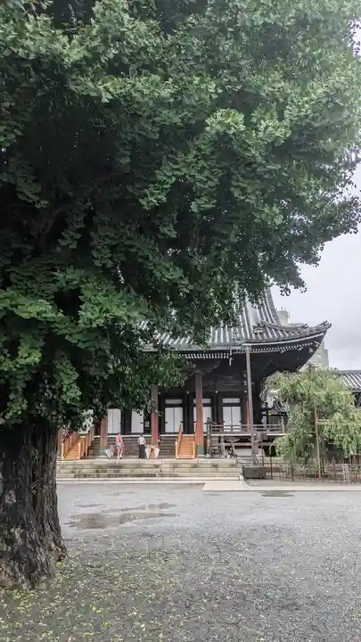 佛光寺(京都府)