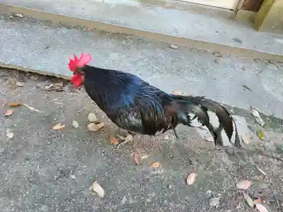 玉祖神社(山口県)