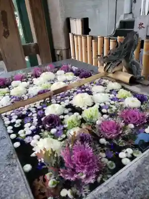 高円寺氷川神社(東京都)