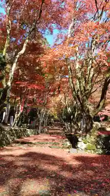 鶏足寺(滋賀県)