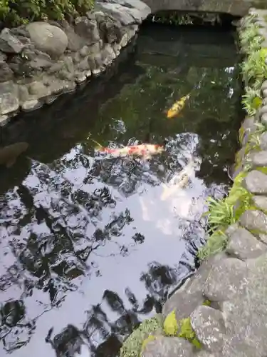 天祖諏訪神社の動物