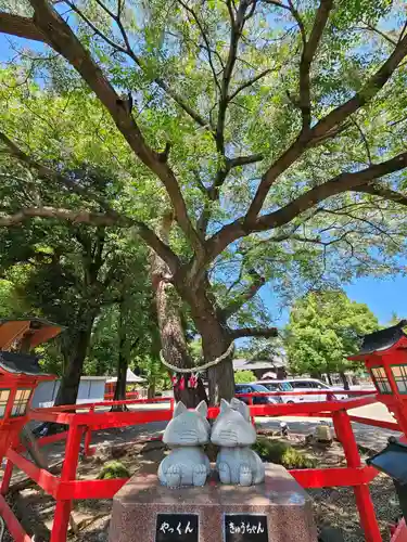 箭弓稲荷神社の狛犬