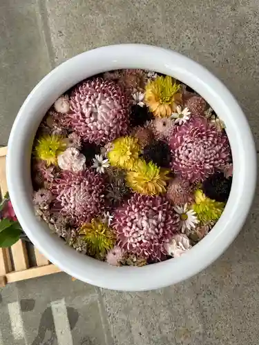 徳島眉山天神社(徳島県)