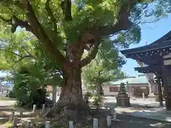 金岡神社(大阪府)