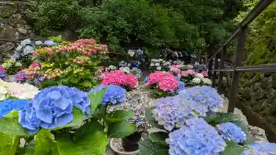 長谷寺(奈良県)