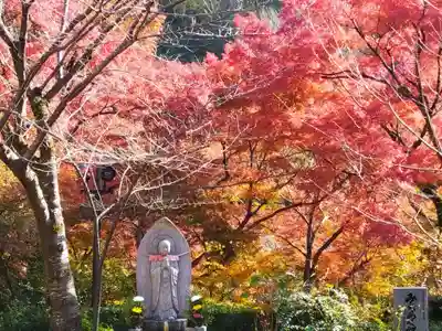 清水寺(京都府)