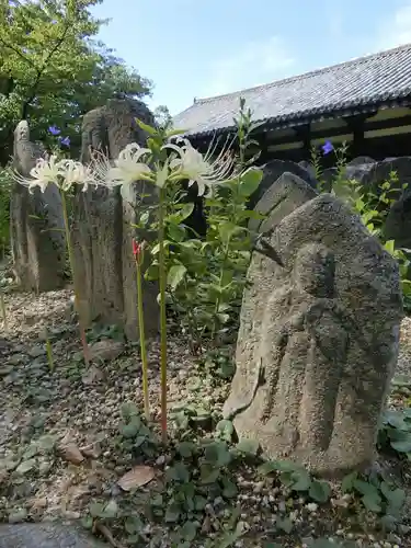 元興寺(奈良県)