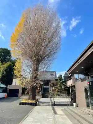 廣源院東福寺(東京都)