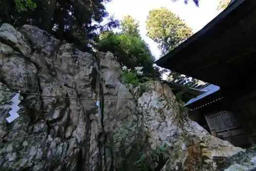 鹿島大神宮の自然