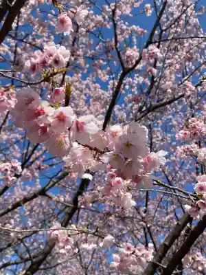 氷川女體神社の{uncategorized: "未分類", other: "その他", undefined: "問題あり", building: "その他建物", grave: "お墓", sacred_gate: "鳥居", guardian: "狛犬", statue: "像", buddha: "仏像", history: "歴史", nature: "自然", garden: "庭園", animal: "動物", pagoda: "塔", temizu: "手水舎", mountain_gate: "山門・神門", sanctuary: "本殿・本堂", subordinate: "末社・摂社", art: "芸術", scenery: "景色", jizo: "地蔵", ema: "絵馬", goshuin: "御朱印", omikuji: "おみくじ", items: "授与品その他", amulet: "お守り", goshuincho: "御朱印帳", eats: "食事", festival: "お祭り", votive_dance: "神楽", shichigosan: "七五三参", wedding: "結婚式", experience: "体験その他", initially: "初詣", around: "周辺", anti_infection: "感染症対策"}