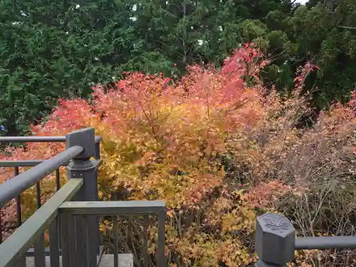 秋葉山本宮 秋葉神社 上社の自然
