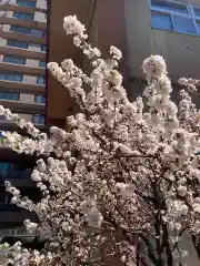 琴似神社の自然