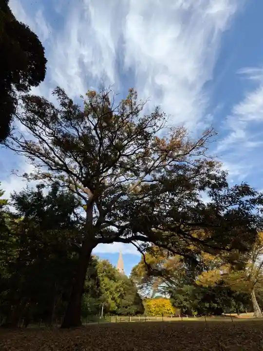 明治神宮(東京都)