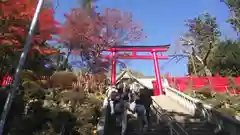 高尾山薬王院の鳥居