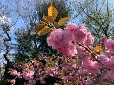 下御霊神社(京都府)