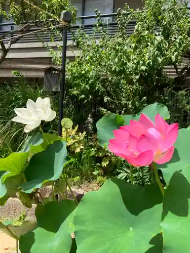 生田神社(兵庫県)