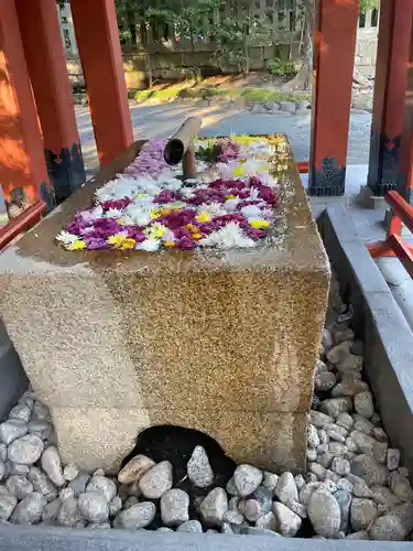 鶴岡八幡宮の手水舎