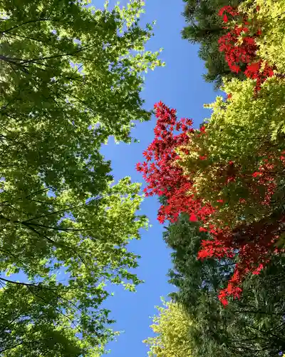 滑川神社 - 仕事と子どもの守り神(福島県)