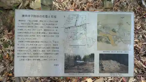 勝持寺（花の寺）(京都府)