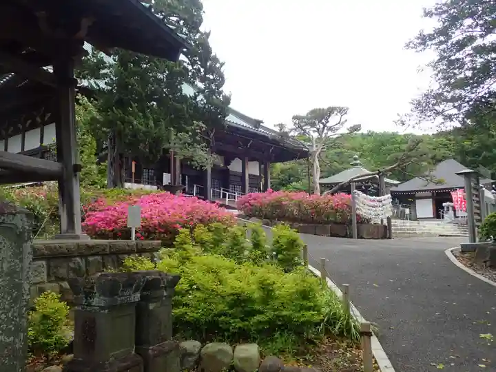 時宗総本山 遊行寺(正式:清浄光寺)(神奈川県)