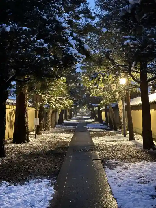 大徳寺の{uncategorized: "未分類", other: "その他", undefined: "問題あり", building: "その他建物", grave: "お墓", sacred_gate: "鳥居", guardian: "狛犬", statue: "像", buddha: "仏像", history: "歴史", nature: "自然", garden: "庭園", animal: "動物", pagoda: "塔", temizu: "手水舎", mountain_gate: "山門・神門", sanctuary: "本殿・本堂", subordinate: "末社・摂社", art: "芸術", scenery: "景色", jizo: "地蔵", ema: "絵馬", goshuin: "御朱印", omikuji: "おみくじ", items: "授与品その他", amulet: "お守り", goshuincho: "御朱印帳", eats: "食事", festival: "お祭り", votive_dance: "神楽", shichigosan: "七五三参", wedding: "結婚式", experience: "体験その他", initially: "初詣", around: "周辺", anti_infection: "感染症対策"}