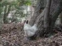 熱田神宮(愛知県)