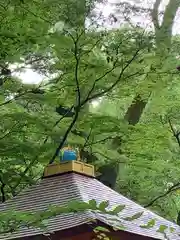 賀茂御祖神社（下鴨神社）(京都府)