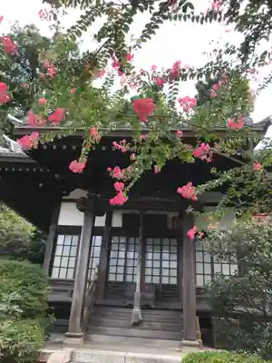 壽福寺の自然