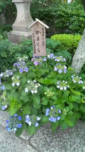 長谷寺の庭園