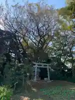 市場稲荷神社(千葉県)